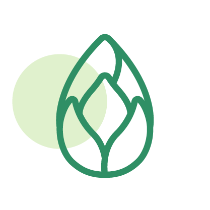 lotus-valley-icons_transformation