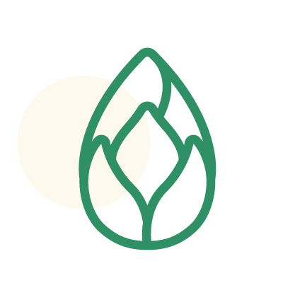 lotus-valley-icons_transformation